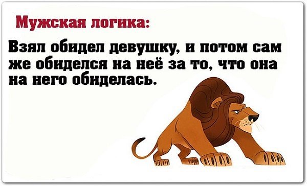 Шутки про женскую логику