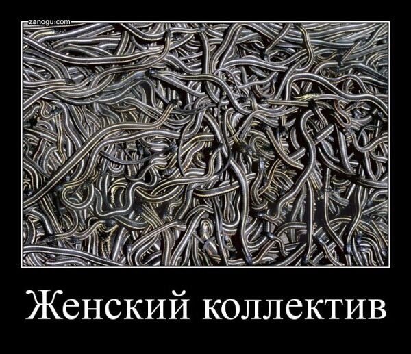 Дружный женский коллектив