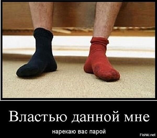 Мужские носки юмор