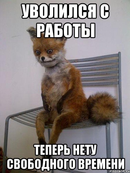 Последний день перед увольнением