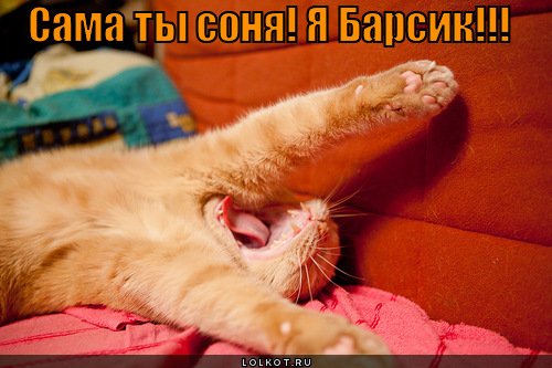 Просыпайся Соня прикольные