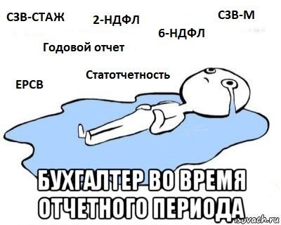 Шутки про отчетность бухгалтера