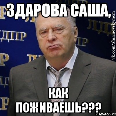 Приколы про Александра