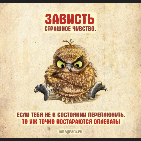 Зависть плохое чувство цитаты с юмором