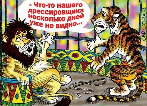 Анекдоты про цирк