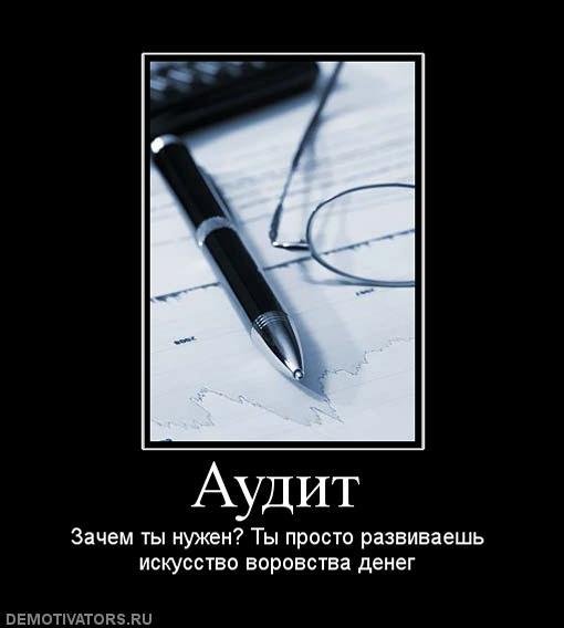 Аудит приколы