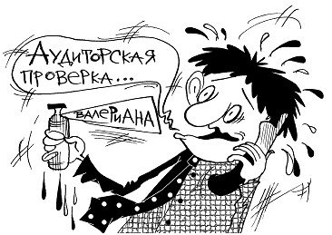 Аудитор карикатура