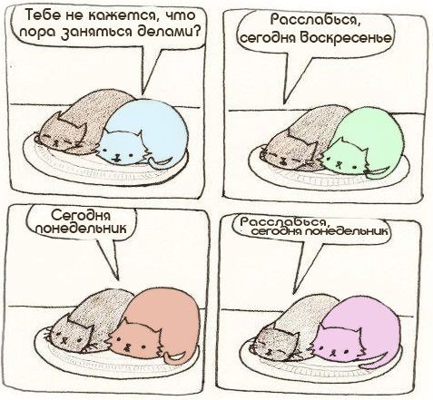 Прокрастинация смешные картинки