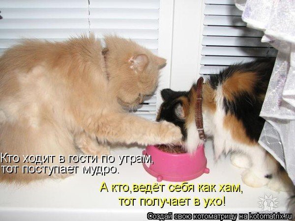 Мы к вам в гости