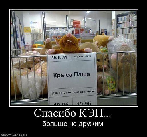 Шутки про Пашу