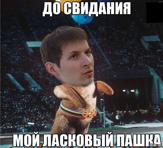 Шутки про Пашу смешные