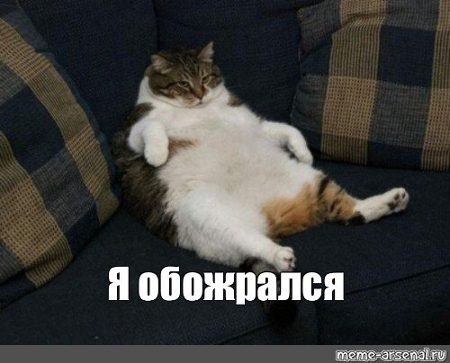 Жирный кот обожрался