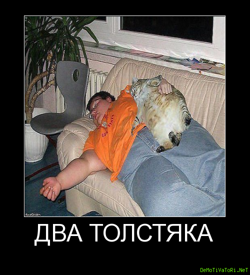 Толстый и тонкий человек
