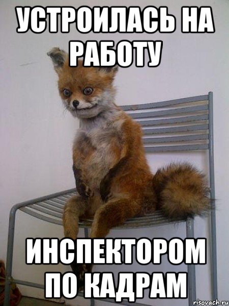 Мемы про отдел кадров