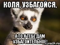 Да ты узбагойся