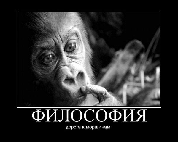 Мысли о жизни с юмором