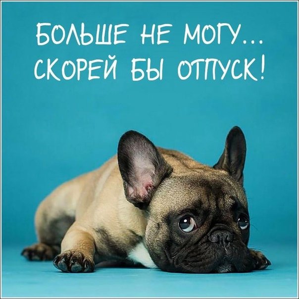 Картинки печалька смешные