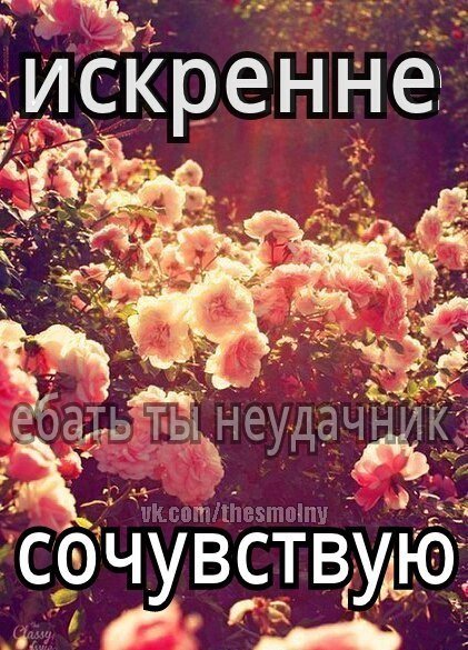 Надпись сочувствую