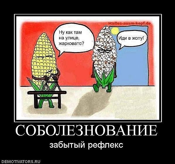 Соболезную прикол