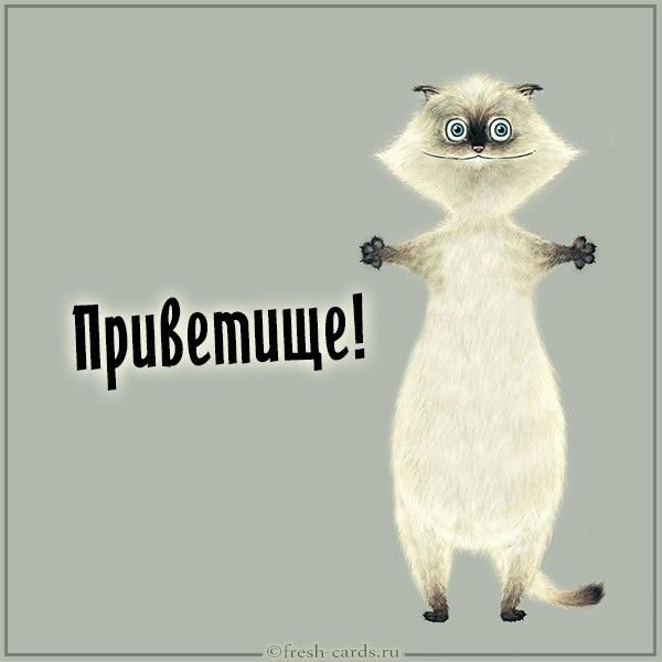 Приветище смешные картинки