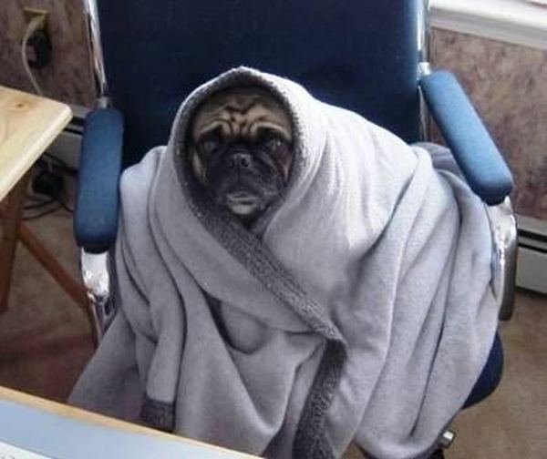 Приколы про холод