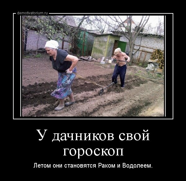 У дачников свой гороскоп