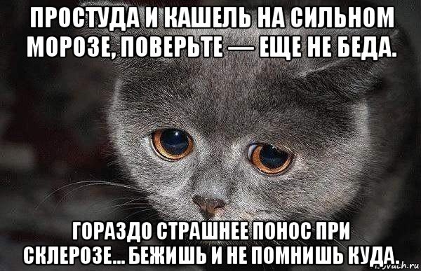 Шутки про простуду
