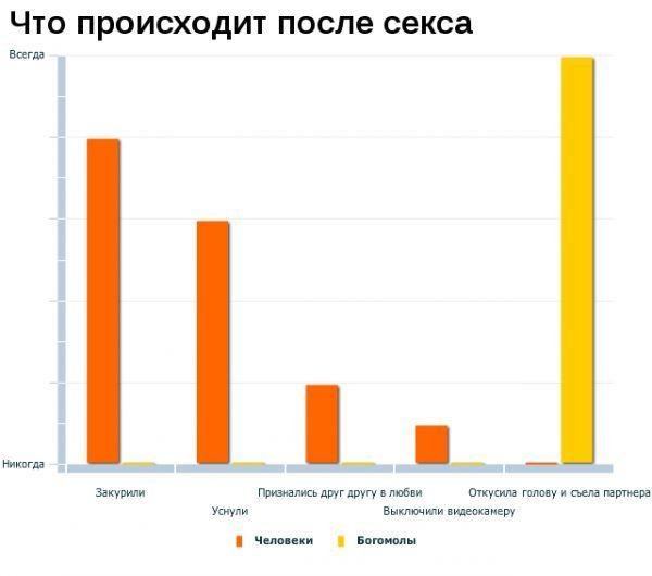 Статистика картинки прикольные