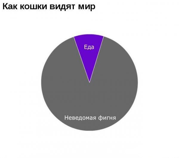 Графики диаграммы юмор