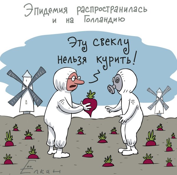 Шуточная свекла