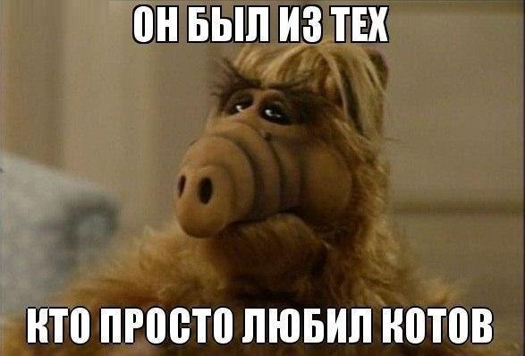Альф приколы из сериала