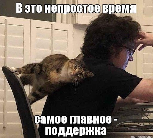 Мемы про поддержку