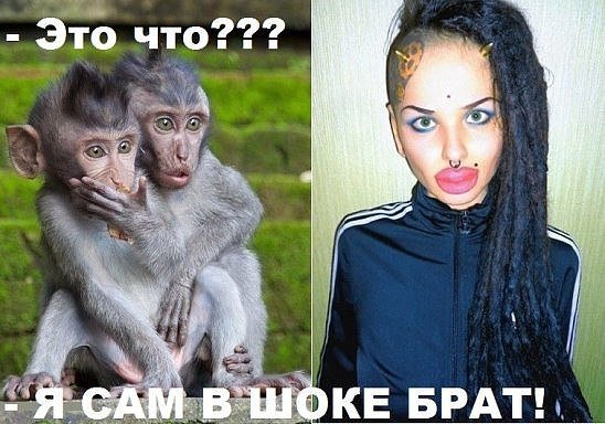 Сама в шоке картинки