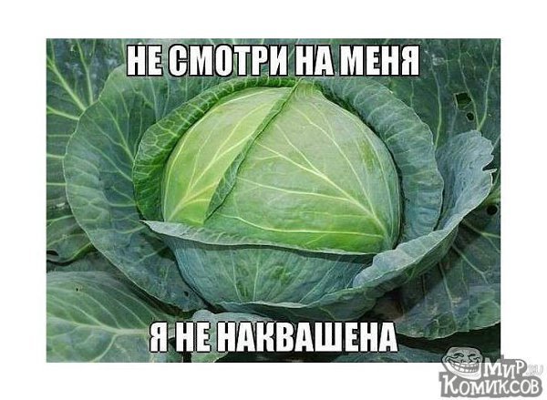 Капуста прикол