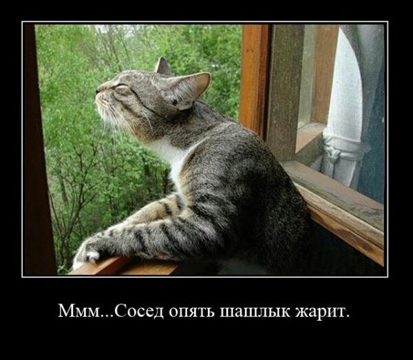Пахнет весной прикол