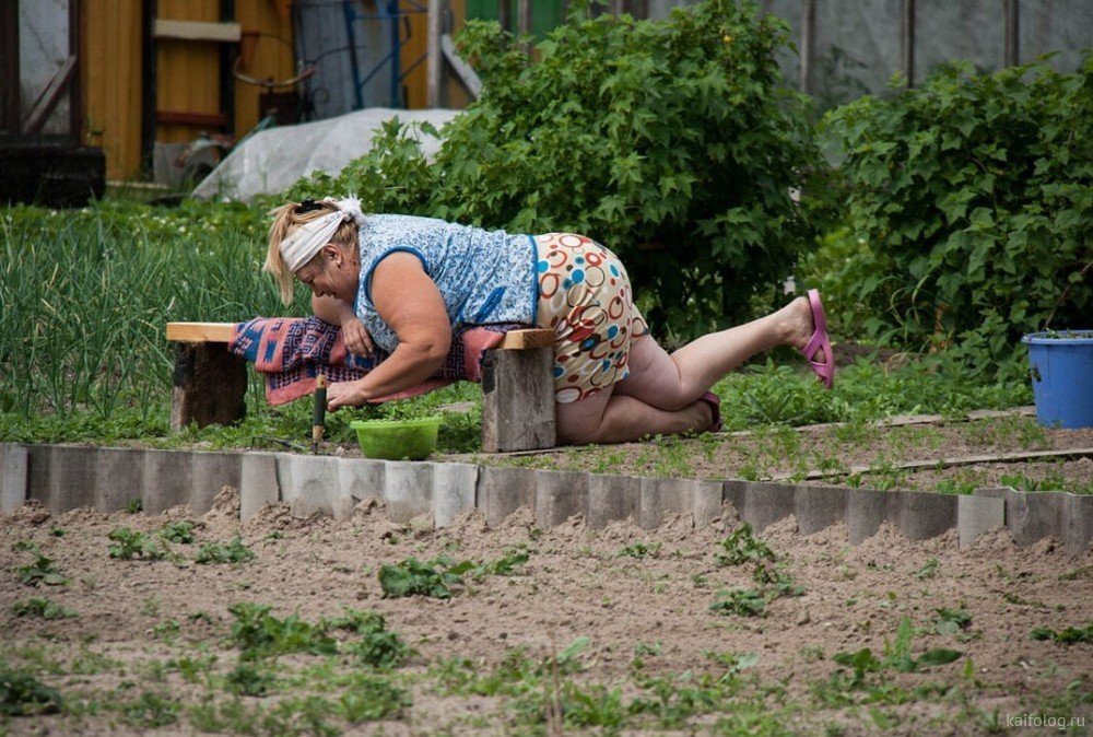 Смешные фото дачников на огороде