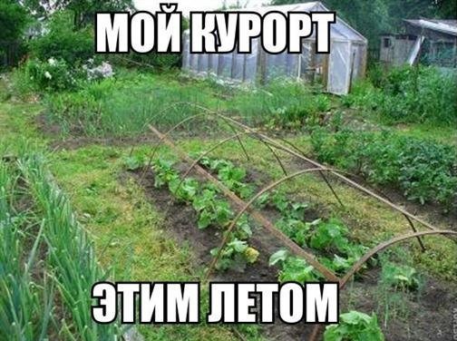 Смешные мемы про огород