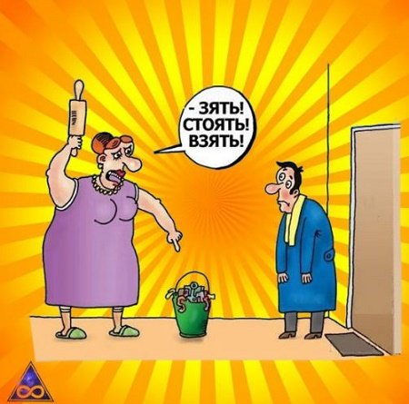 Шутки про зятя