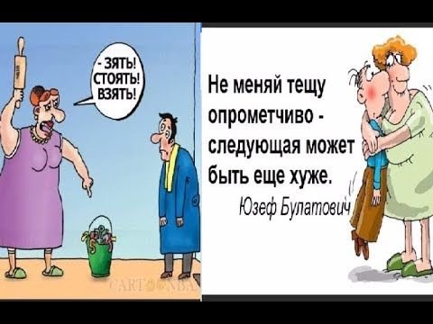 Прикольные анекдоты про тещу и зятя