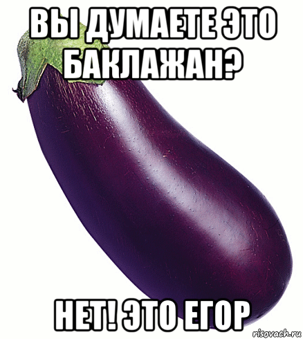 Баклажан негр