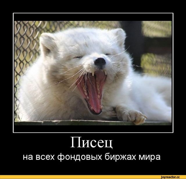 Полный писец картинка