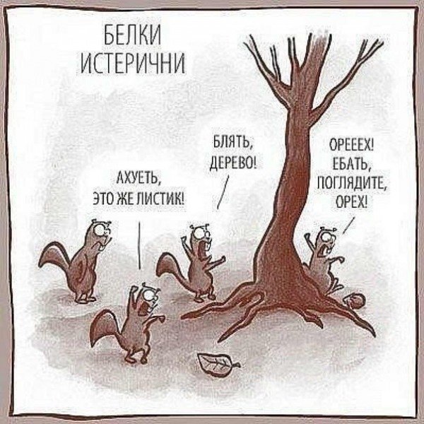 Белки истерички оригинал