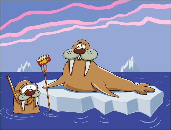 День моржа