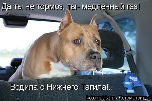 Тормоз медленный ГАЗ