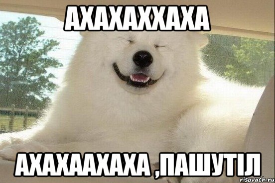 Мемы ахахаха
