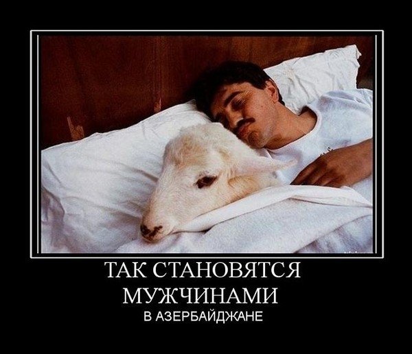 Приколы про азербайджанцев
