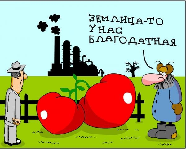 Экология юмор
