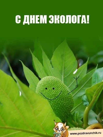 День эколога рисунки