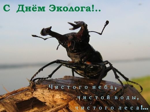 Экология карикатура