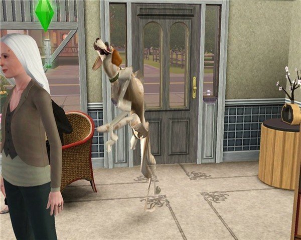 The SIMS 3 глюки